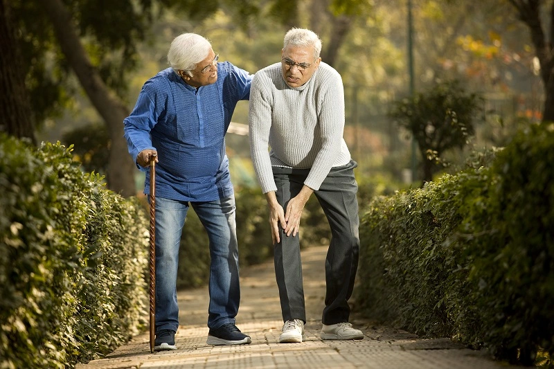 Elderly Postural Stability